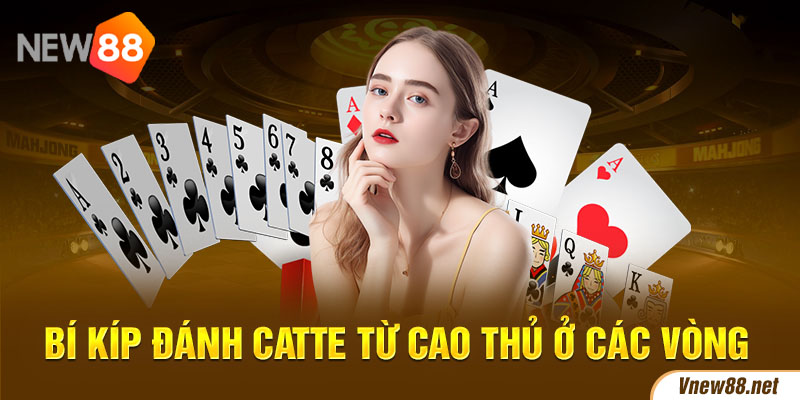 Bí kíp đánh Catte từ cao thủ ở các vòng